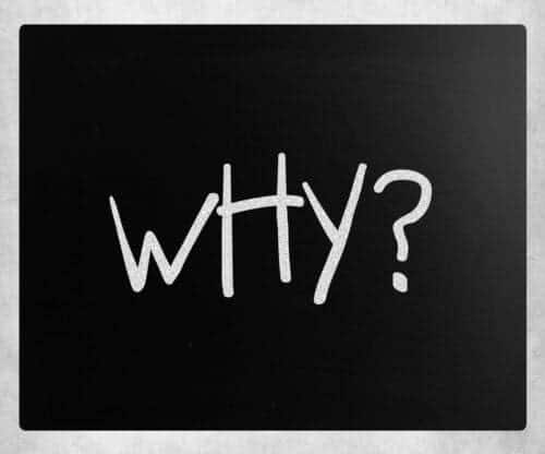 "Why" handwritten with white chalk on a blackboard