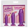 Crystal Jellies Anal Starter Kit - Purple