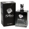 Sliquid Silver Studio Collection - 3.4 oz