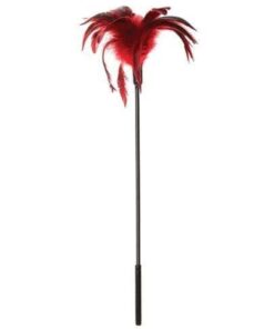 Sportsheets Body Tickler Starburst Feather - Red