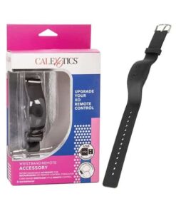 Wristband Remote Accessory