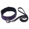 Spartacus Galaxy Legend Collar & Leash - Purple