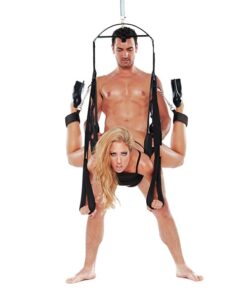 WhipSmart Bondage Pleasure Swing - Black