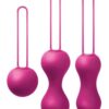 Je Joue Ami Progressive Pelvic Weights - Fuchsia