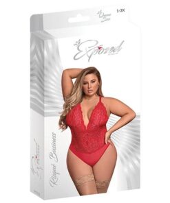 Risqué Business Lace & Mesh Teddy w/Snap Crotch Red QN