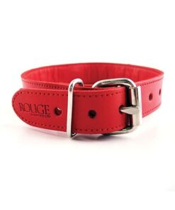 Rouge Leather O Ring Studded Collar - Red