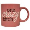 Attitude Mug One Crazy Bitch