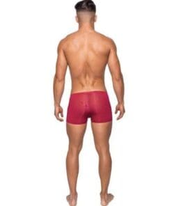 Seamless Sleek Short w/Sheer Pouch Red LG