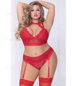 Lace & Netting Long Line Bra Garter Belt & Open Crotch Thong Red 1X/2X