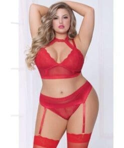 Lace & Netting Long Line Bra Garter Belt & Open Crotch Thong Red 3X/4X