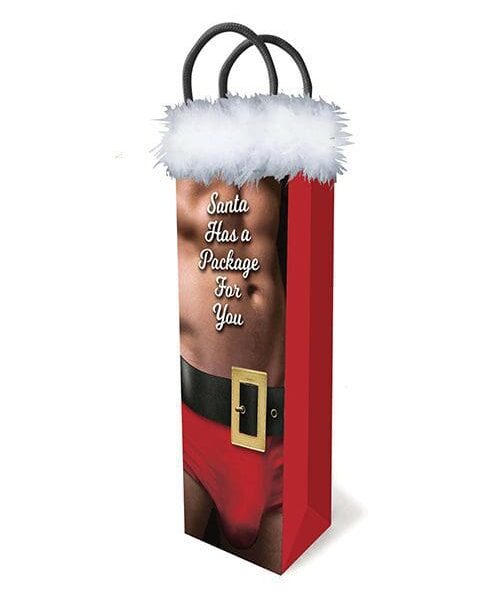 Santa Has A Package Gift Bag