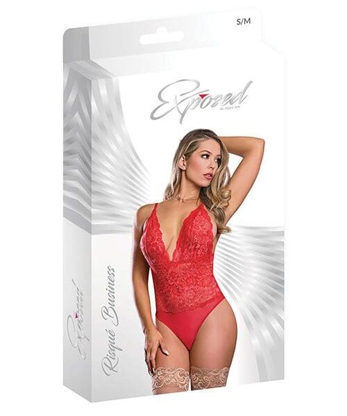 Risqué Business Lace & Mesh Teddy w/Snap Crotch Red L/XL